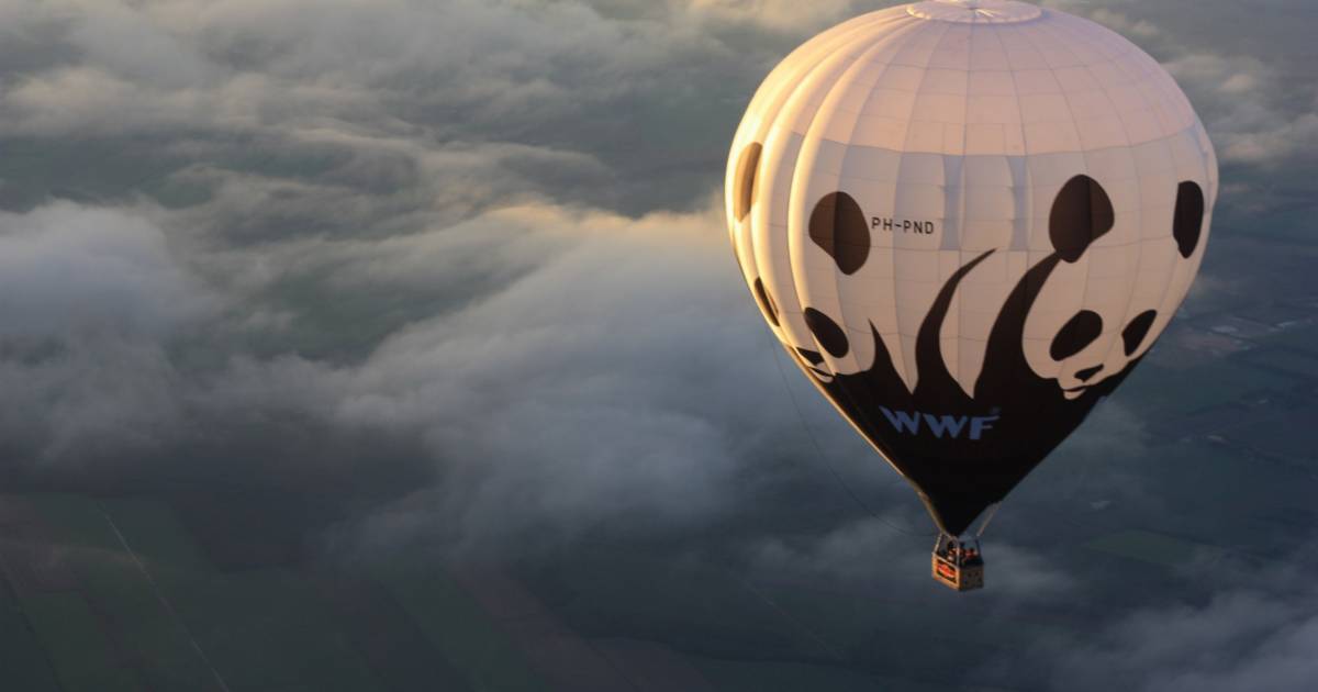 Qui sommes-nous? | WWF Suisse