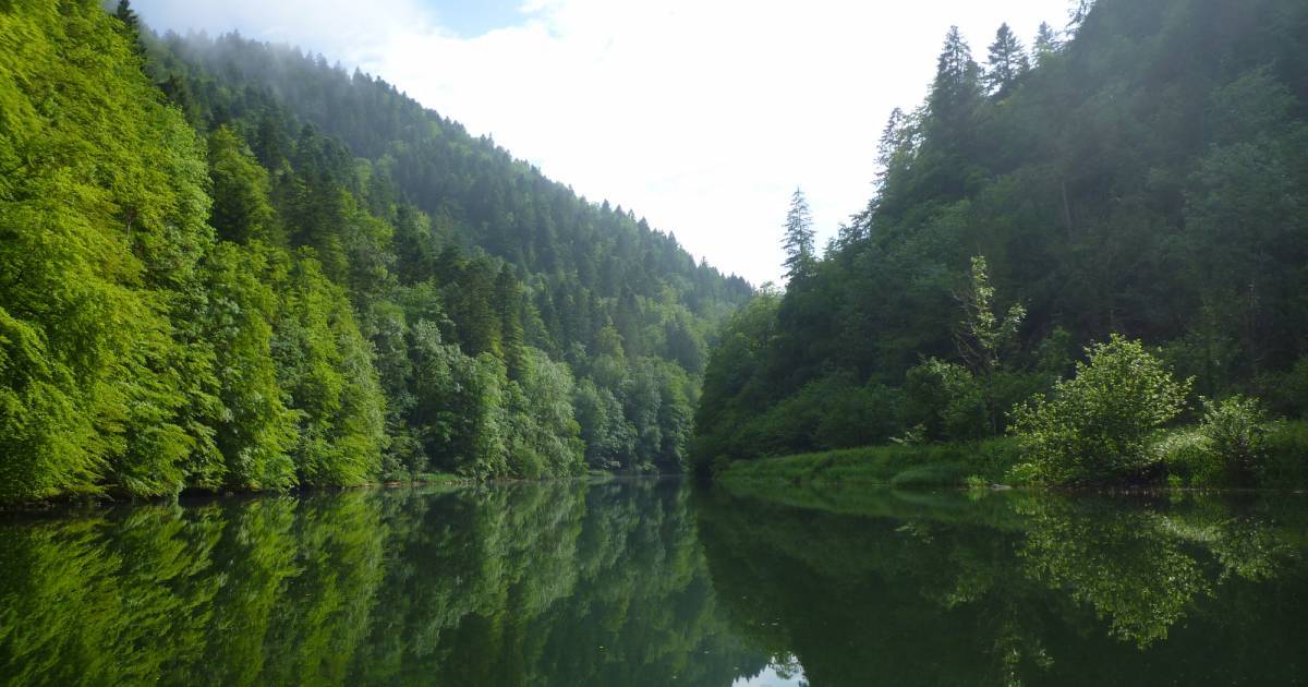 Ausflugsziel Doubs der Spektakuläre WWF Schweiz