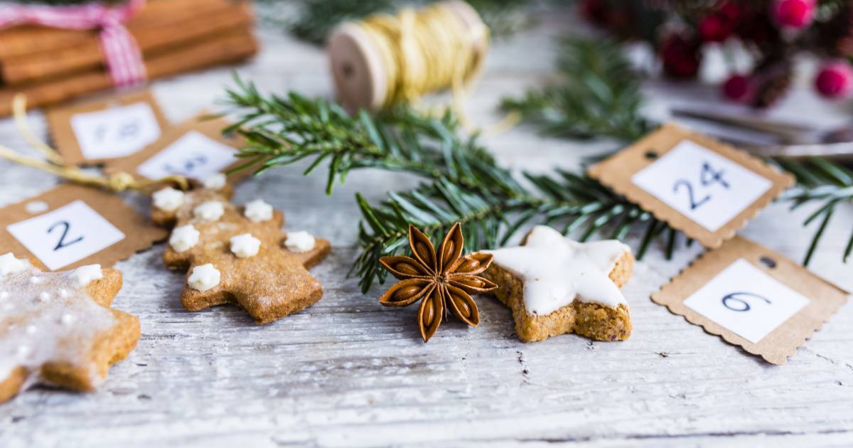 Biglietti Di Natale Wwf.7 Consigli Per Un Avvento Sostenibile Wwf Svizzera