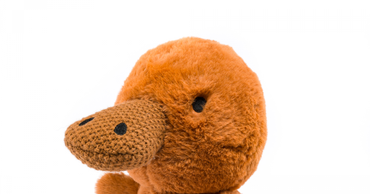 Peluche ornitorinco discount