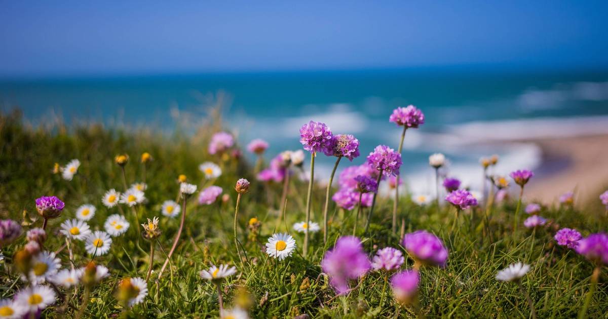 Fünf Tipps für den nachhaltigen Sommer | WWF Schweiz