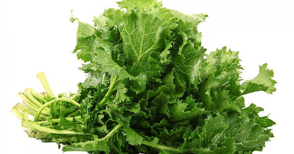 WWF Einkaufsratgeber Hat Cima di rapa gerade Saison? WWF Einkaufsratgeber Hat Cima di rapa gerade Saison?