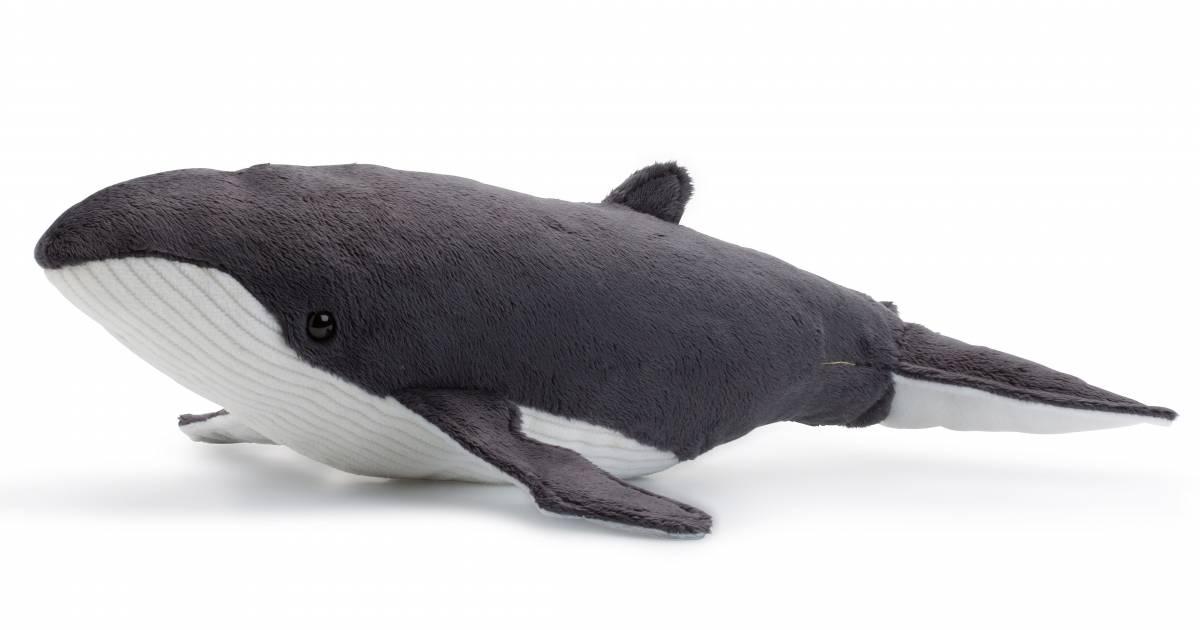 lebensecht Kuscheltier Stofftier Wal Whale 33cm WWF Plüschtier Buckelwal 