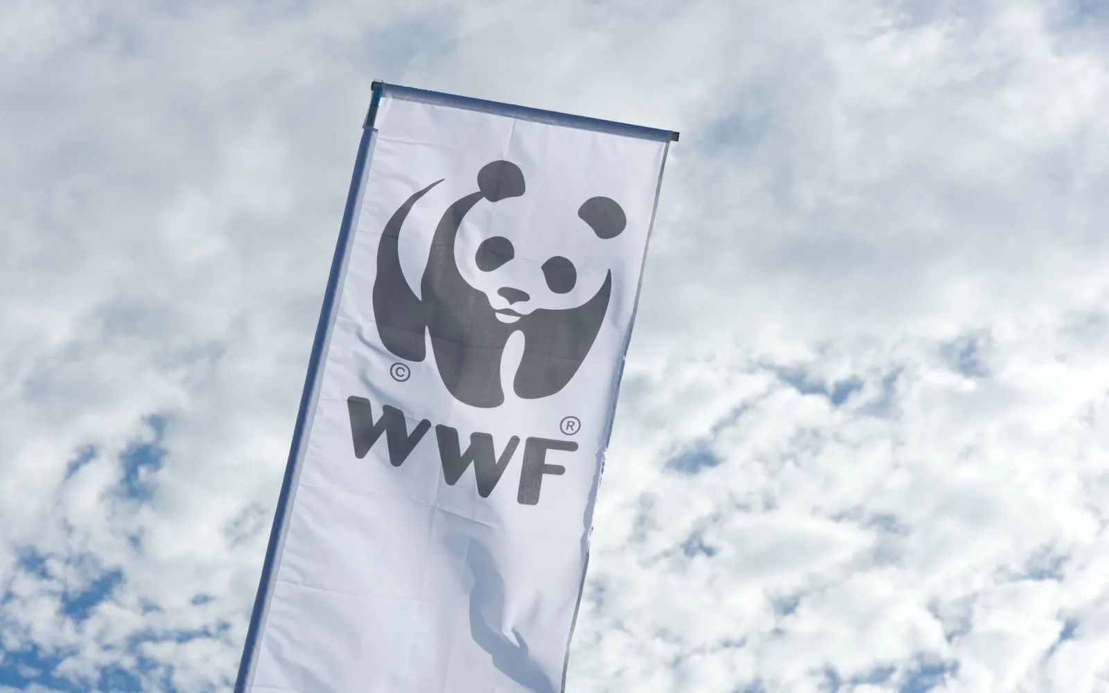 WWF Fahne