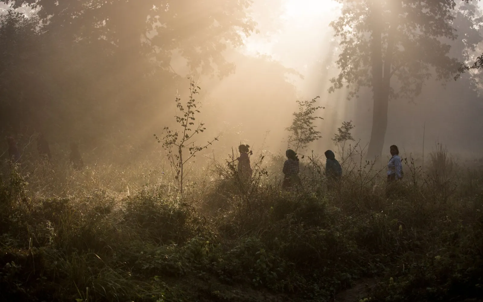 Frauen in Bardia, Nepal
