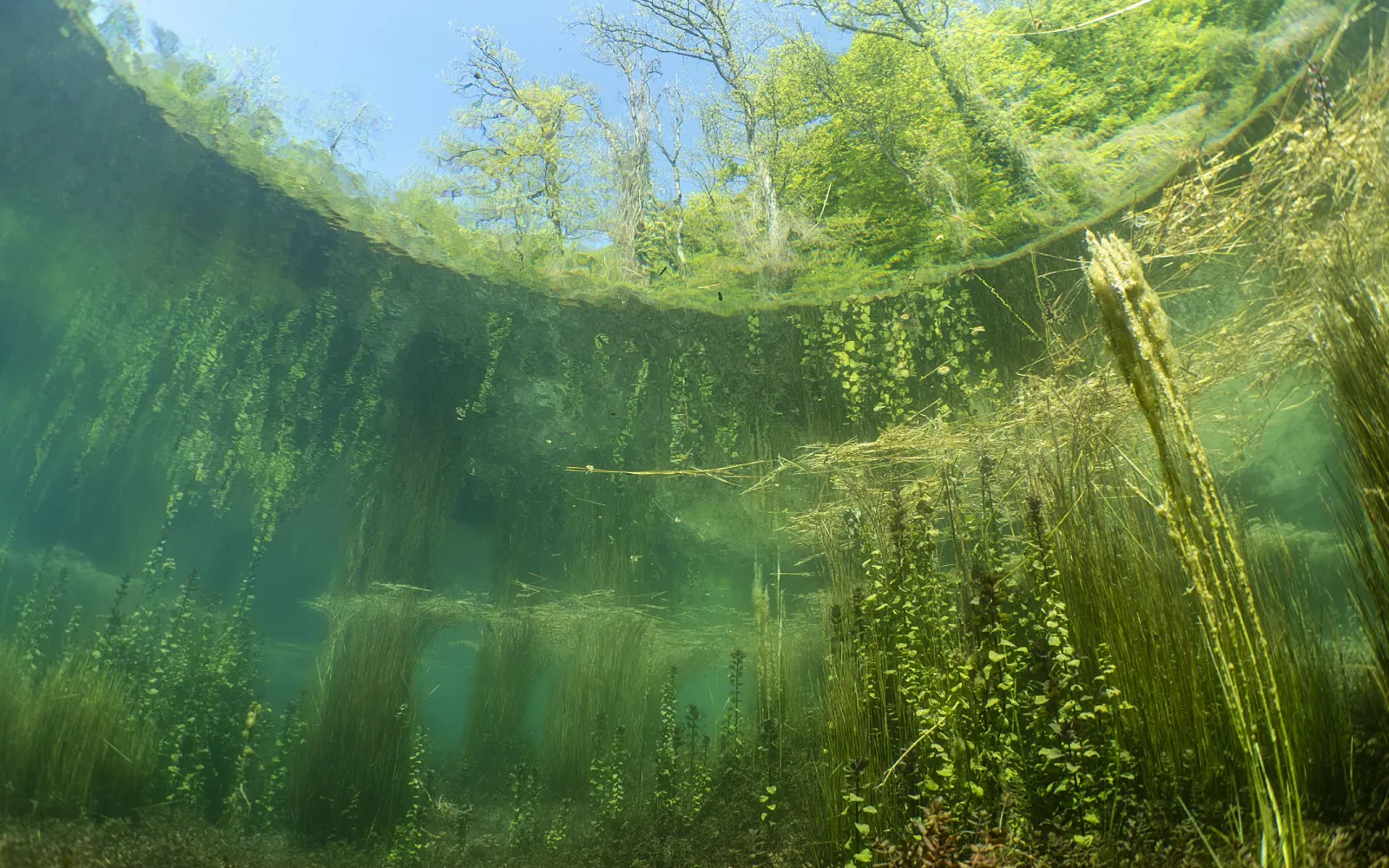 Unterwasser Aufnahme eines Flusses