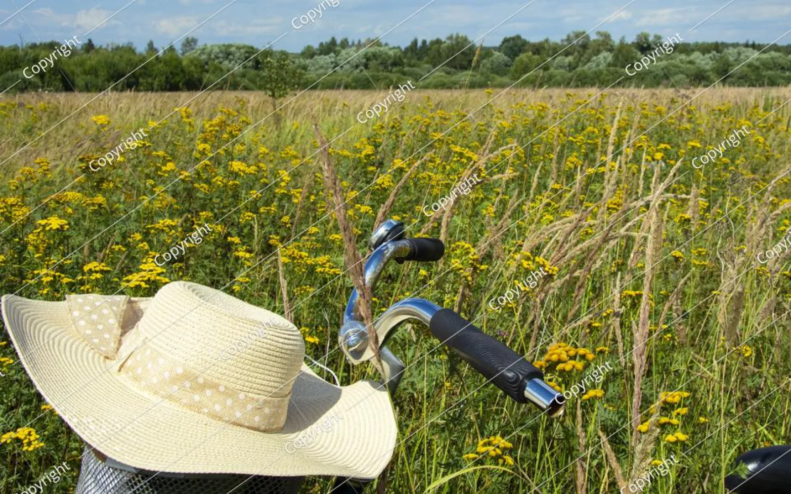 Ein Fahrrad steht am Rand einer sommerlichen Blumenwiese. Auf dem Lenker liegt ein heller Sonnenhut mit Punktmuster. Im Hintergrund blühen gelbe Wildblumen zwischen hohem Gras, dahinter ist eine Baumreihe am Horizont zu sehen.
