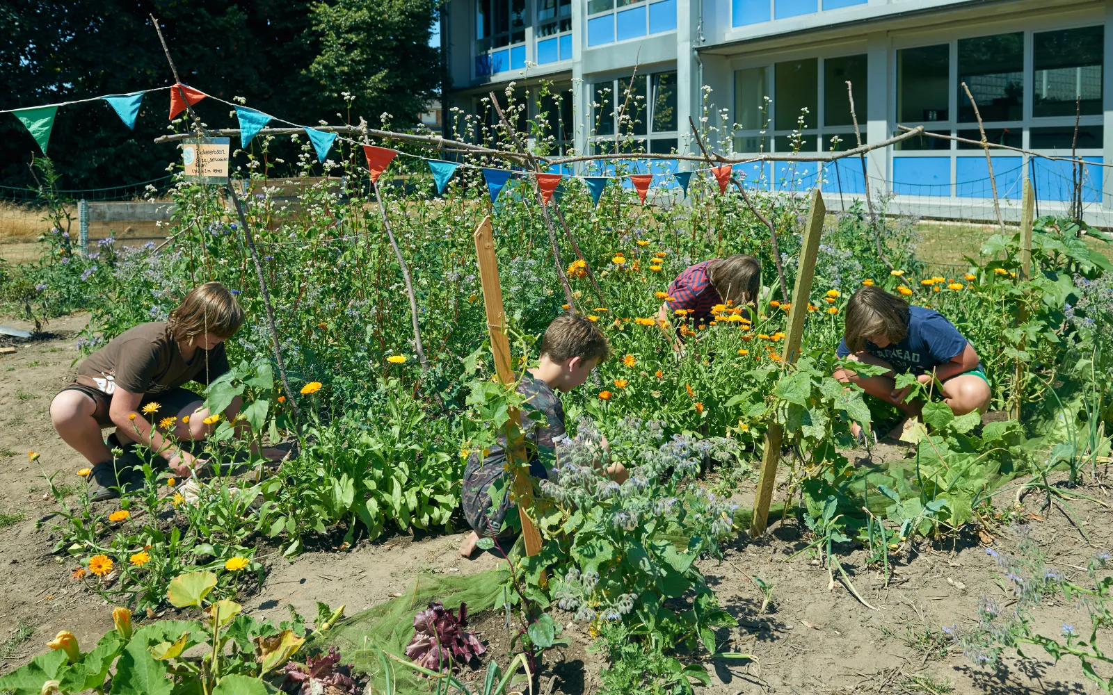 Kinder im Schulgarten
