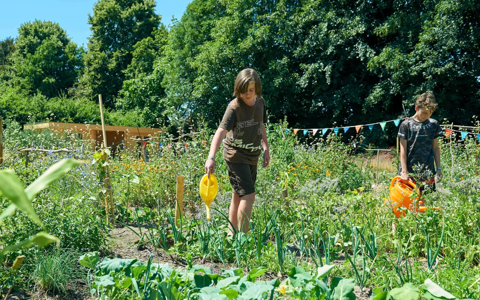 Jungs im Schulgarten
