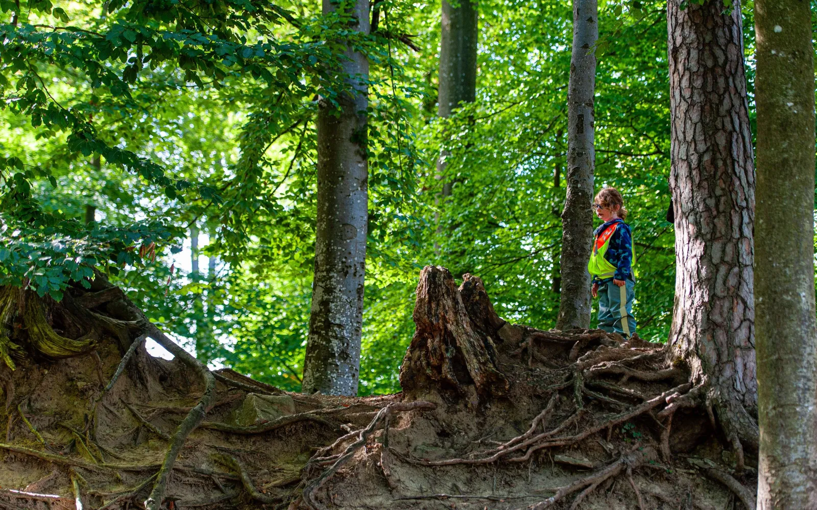 Mädchen im Wald Schulbesuch 2026