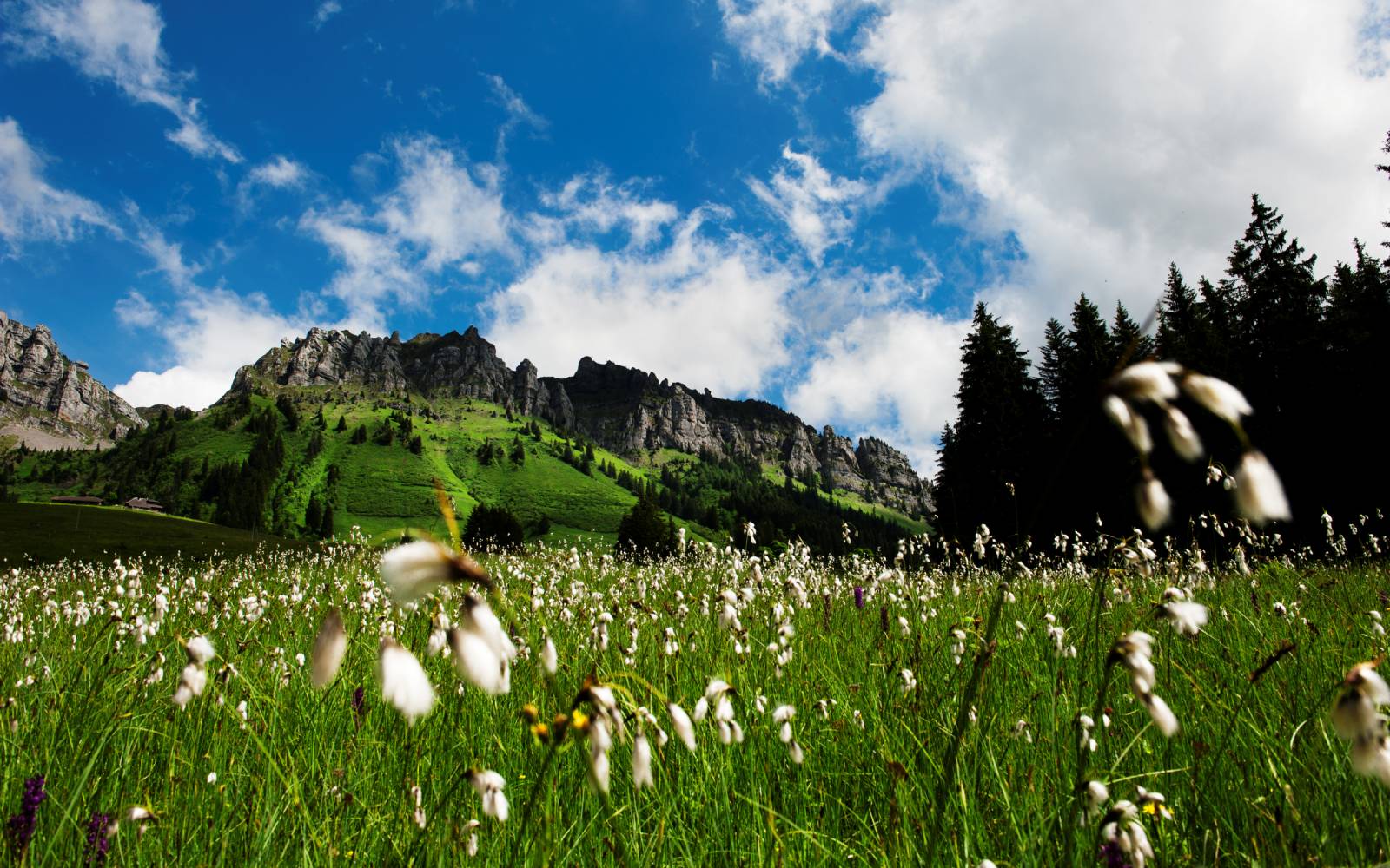 Moorlandschaft, Eriz, Bern, Switzerland