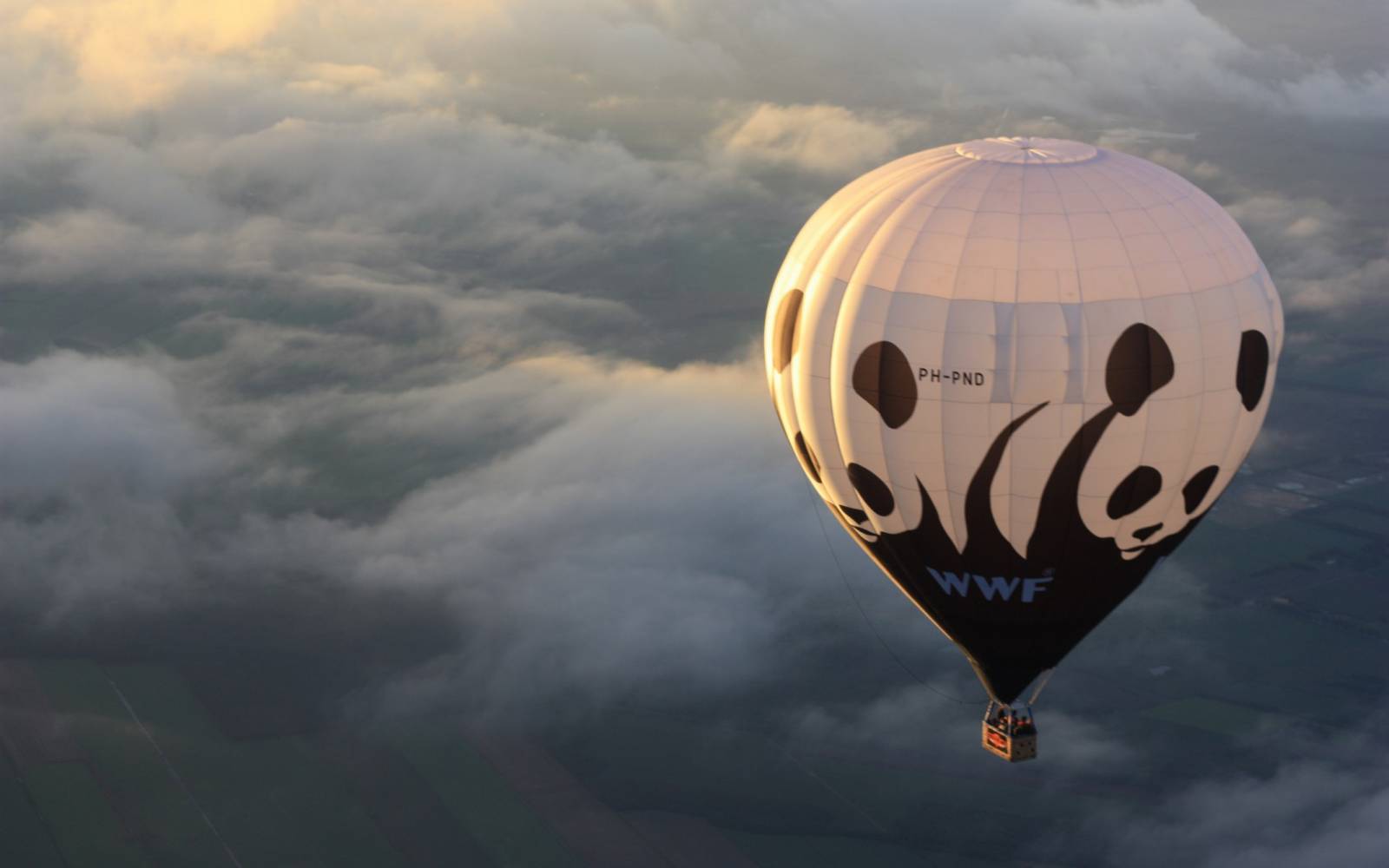 WWF Ballon in der Luft