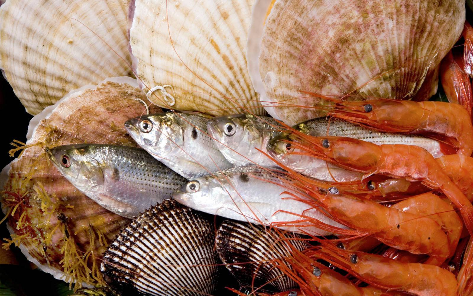 Fische und Meeresfrüchte auf einem Markt in Japan
