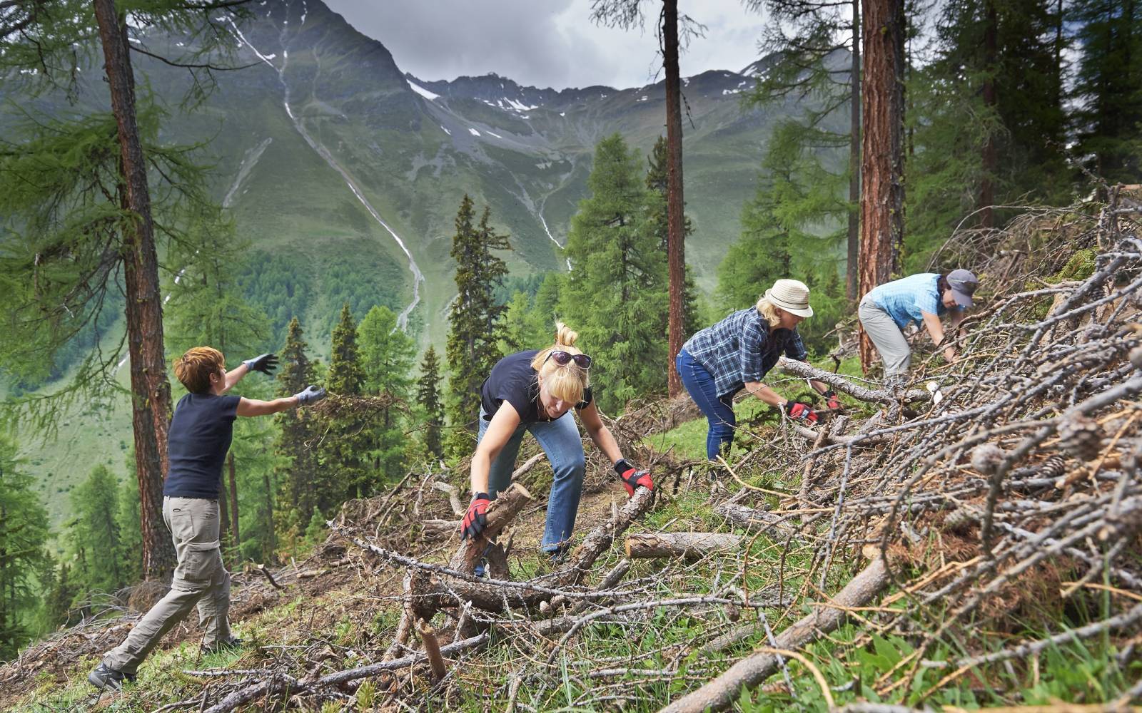 Les bénévoles avec un engagement environnemental actif naturel