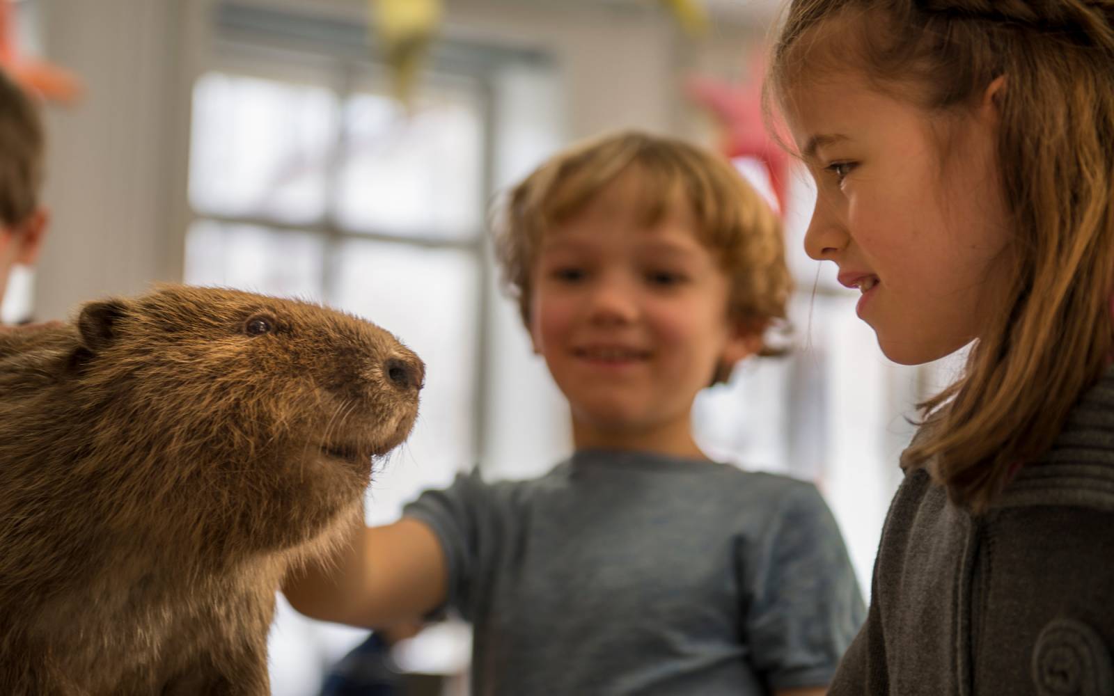 Ein Schulbesuch mit Biber