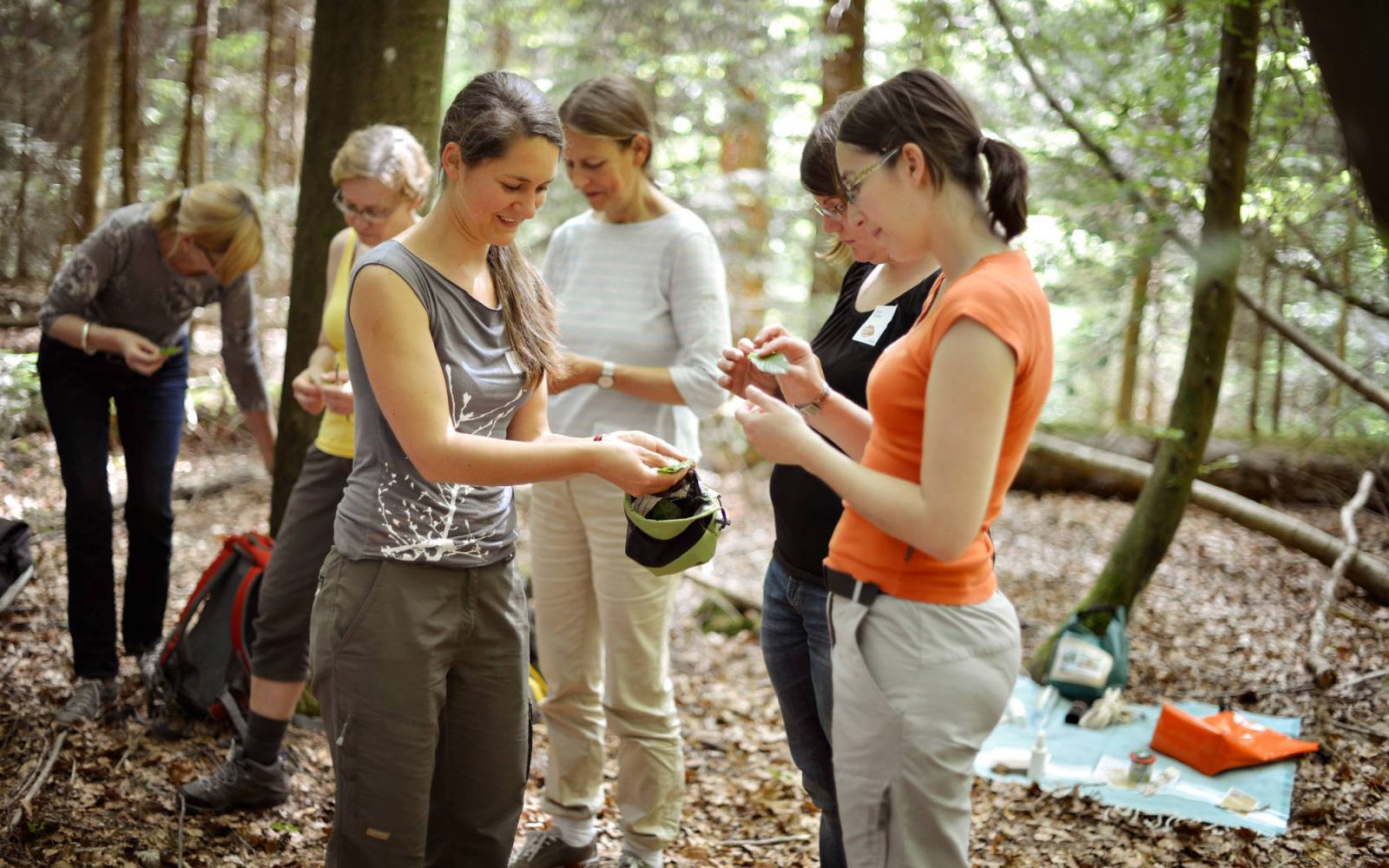 explorer les plantes dans l'atelier des enseignants