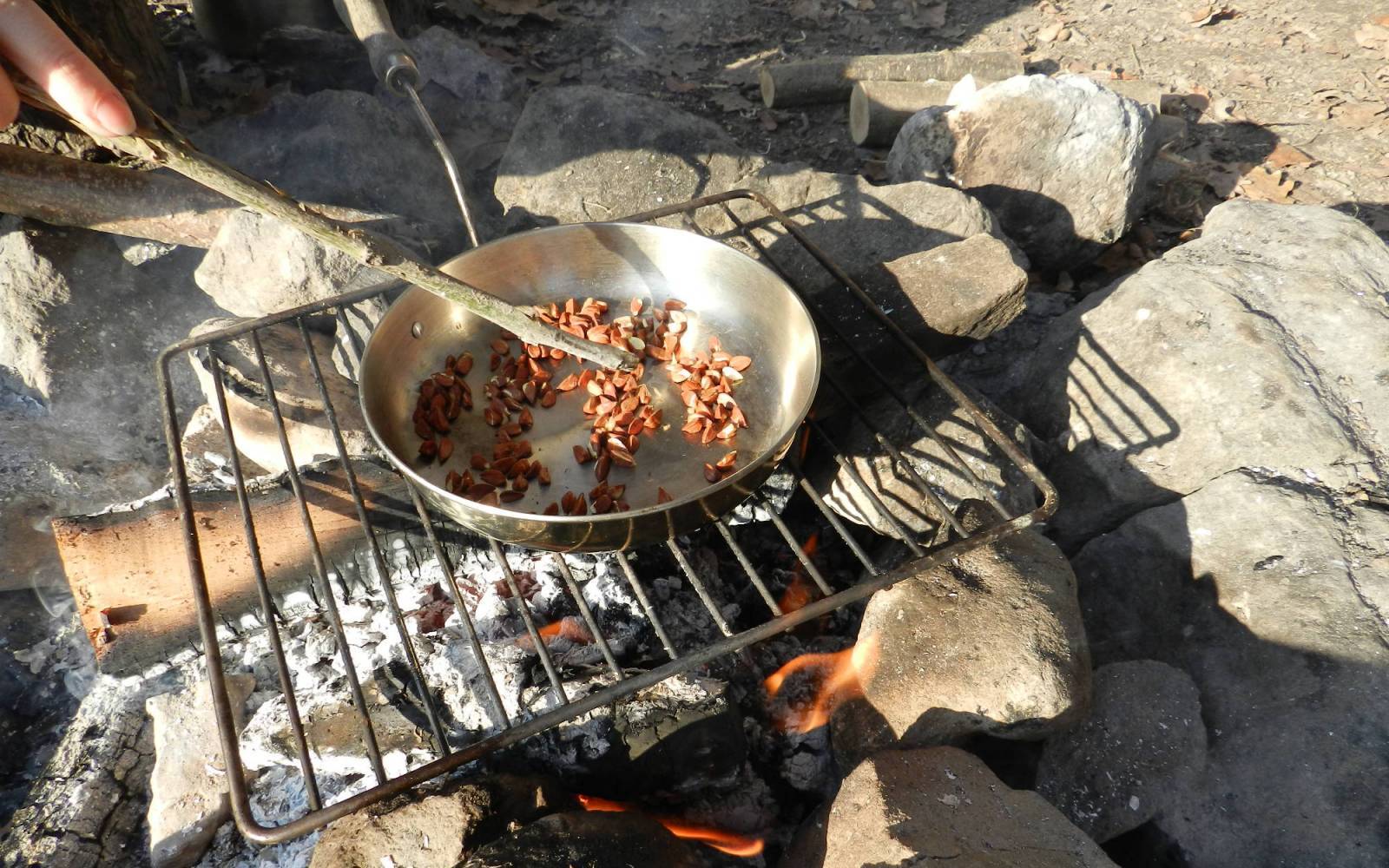 dessert Forêt de faînes