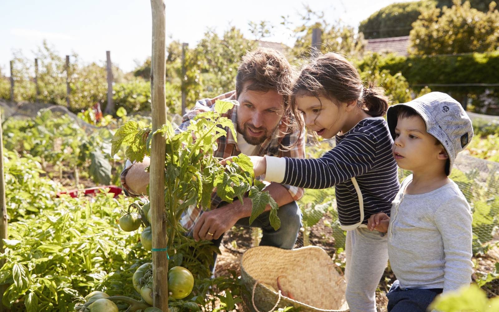 Nachhaltig leben Familie Garten