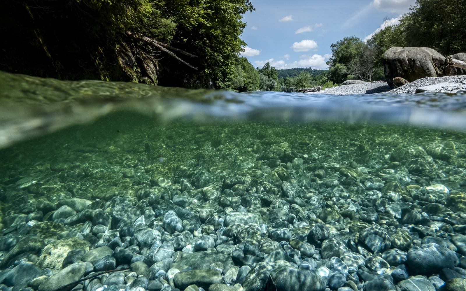 eaux précieuses en Suisse: Sense