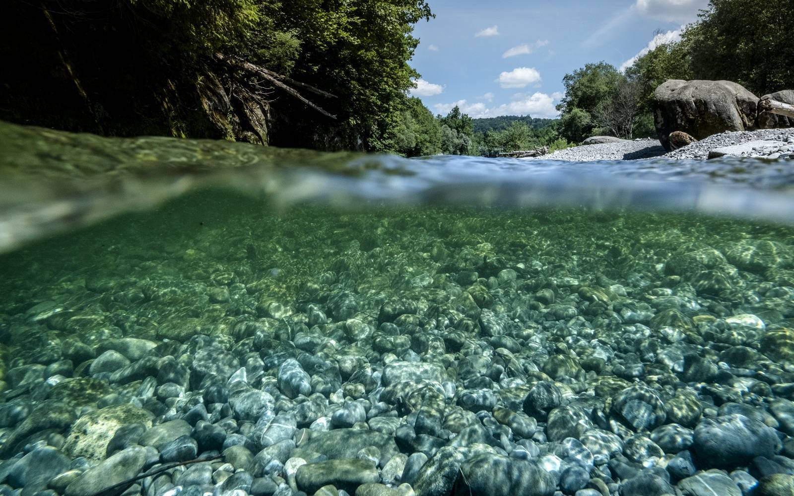 Wertvolle Gewässer in der Schweiz: Sense