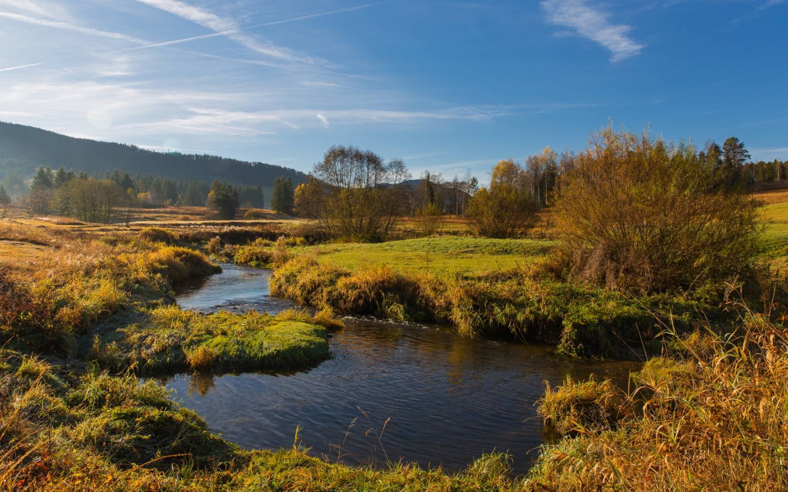 Schweizer Fluss Biber