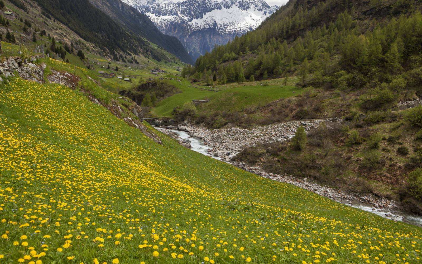 Schweizer Fluss Meienreuss