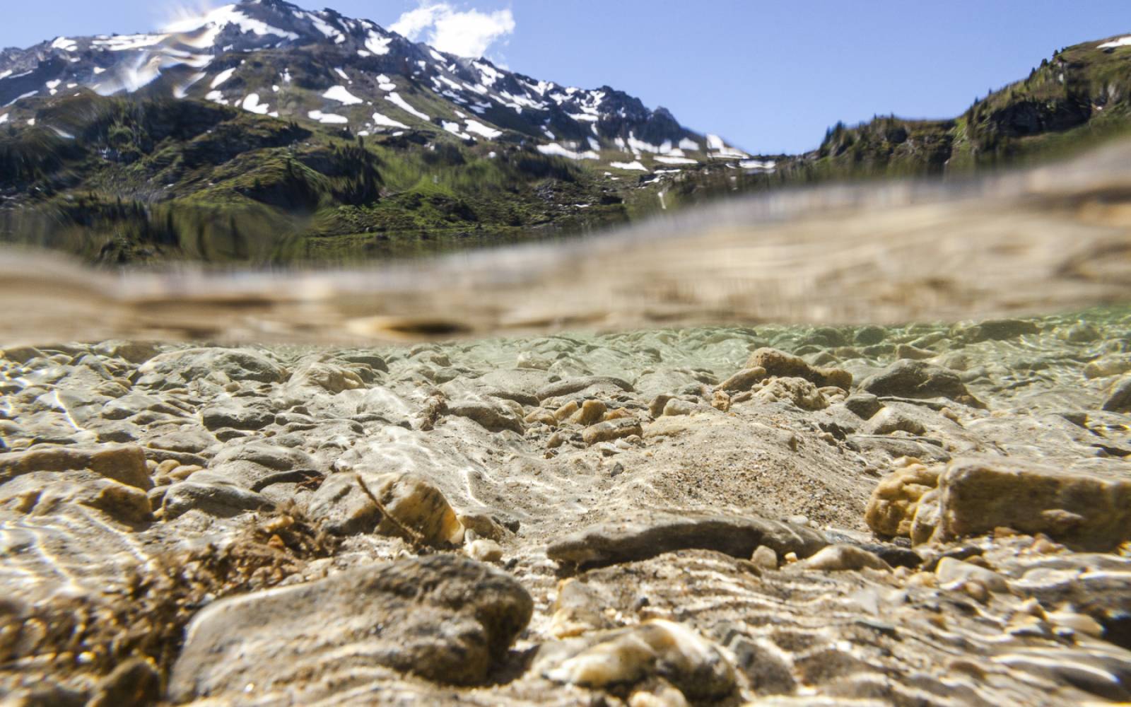 Schweizer Fluss Rèche