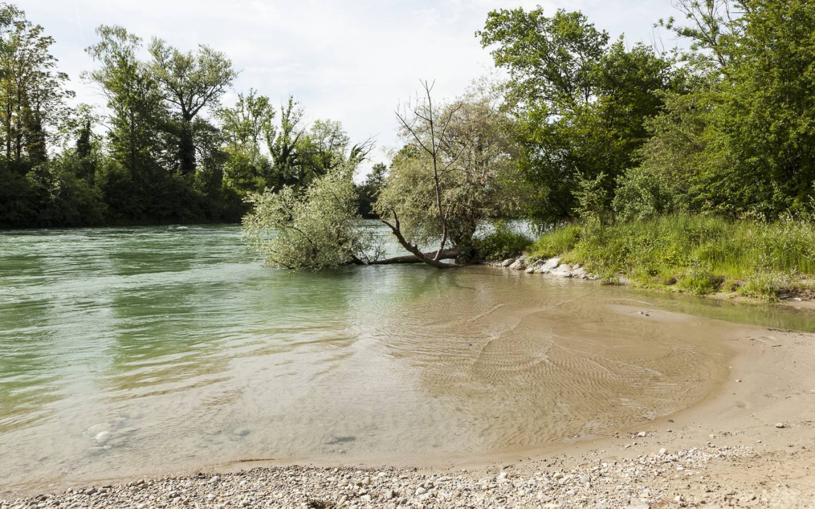 Schweizer Fluss Reuss