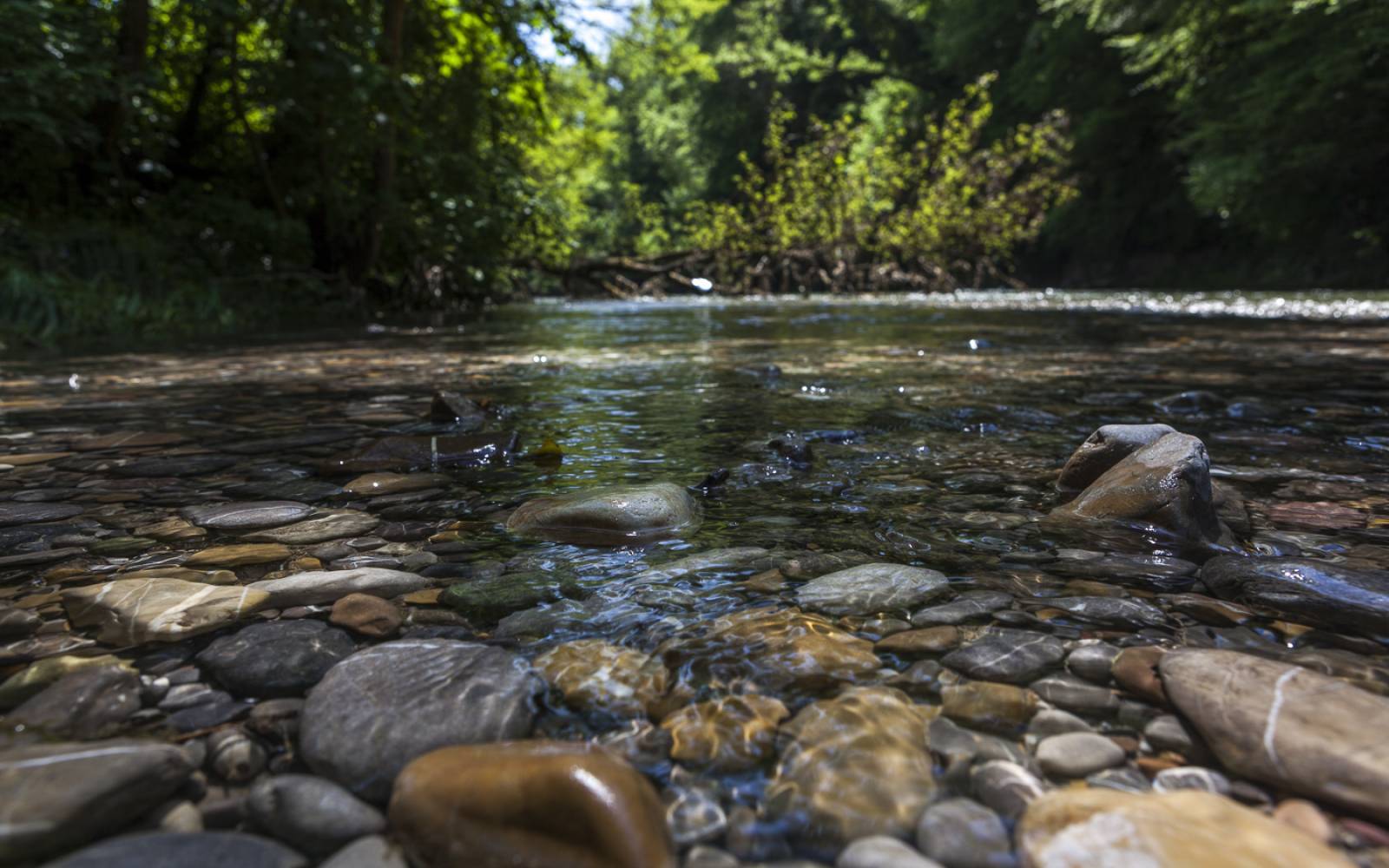 Schweizer Fluss Töss