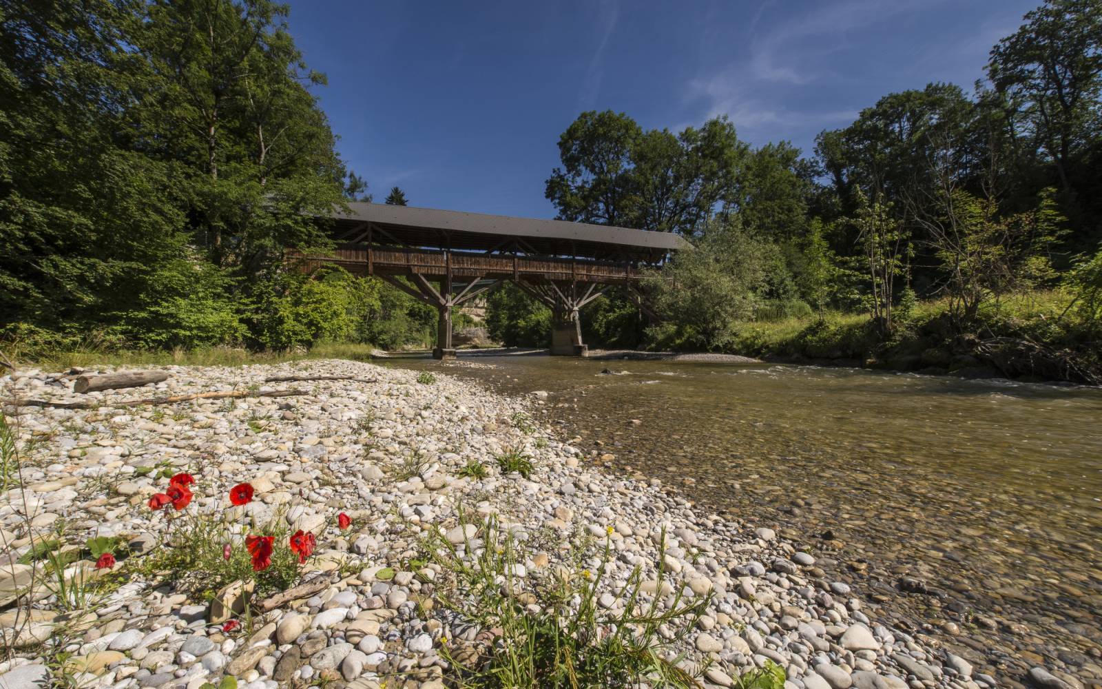 Schweizer Fluss Necker