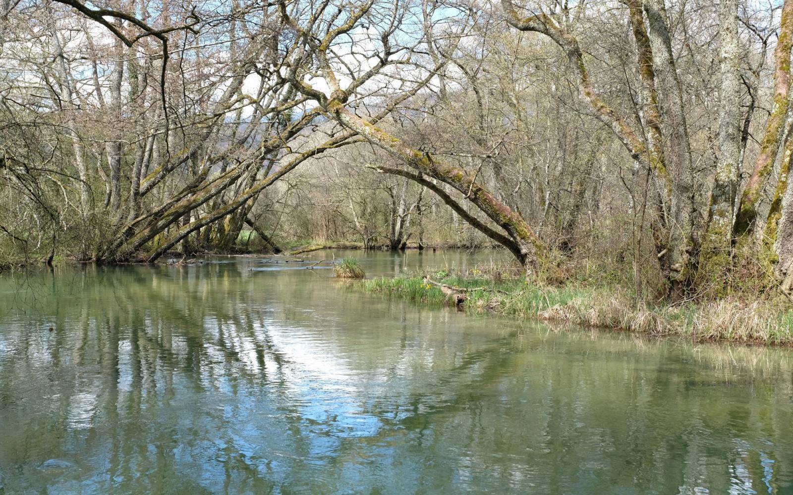 Schweizer Fluss Versoix