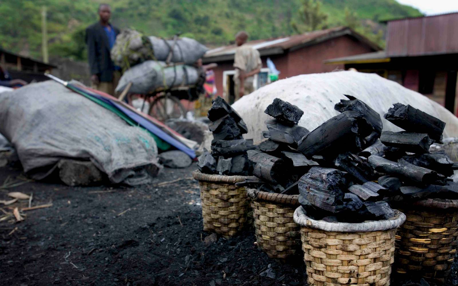 Holzkohle auf einem Markt in der DR Kongo