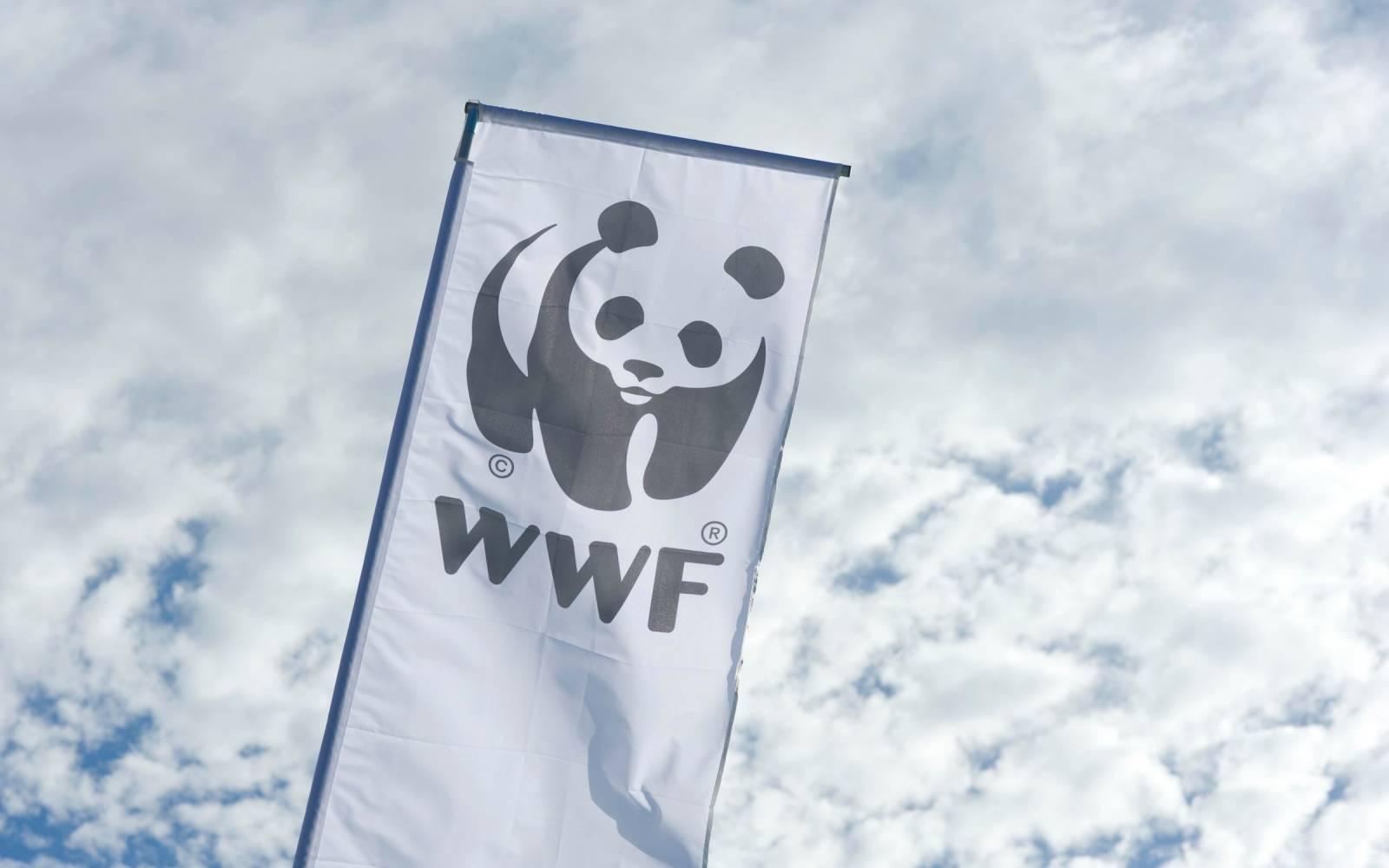 WWF Fahne