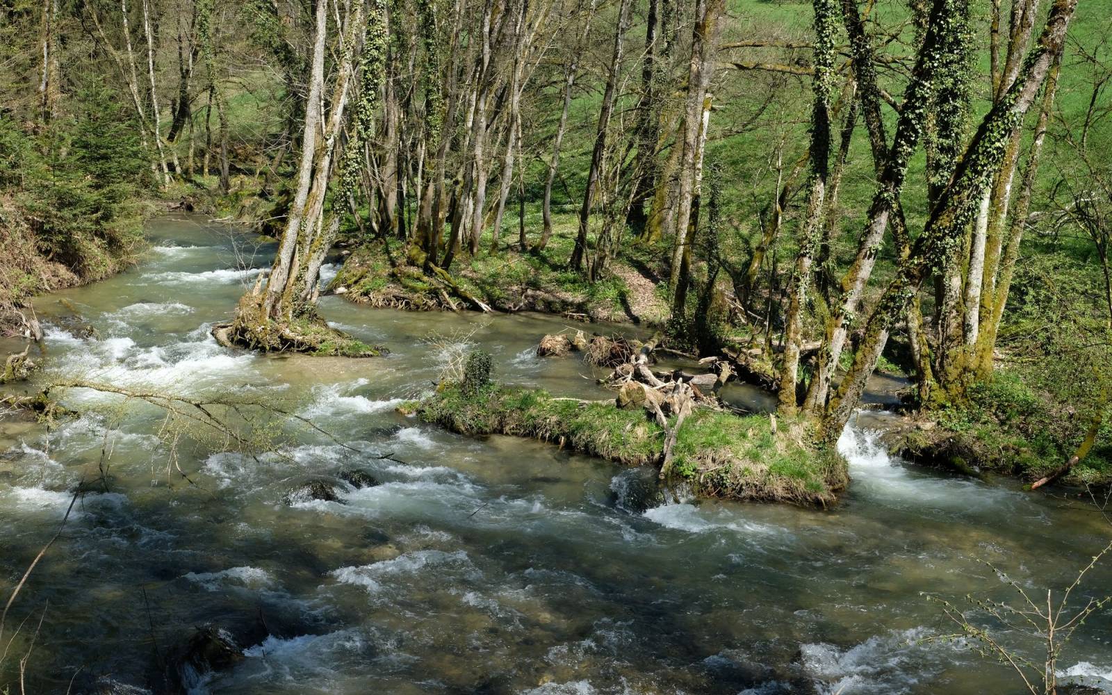 Kleine Inseln in der Aubonne