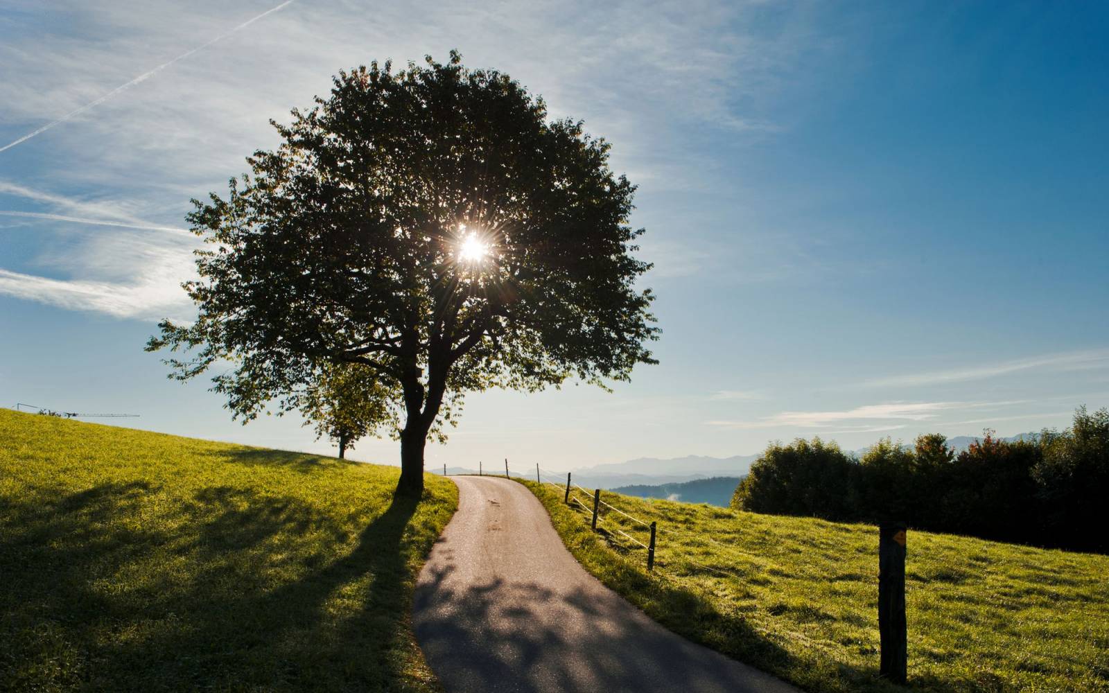 Kirschbaum an einem Weg bei Lützelflüh im Emmental