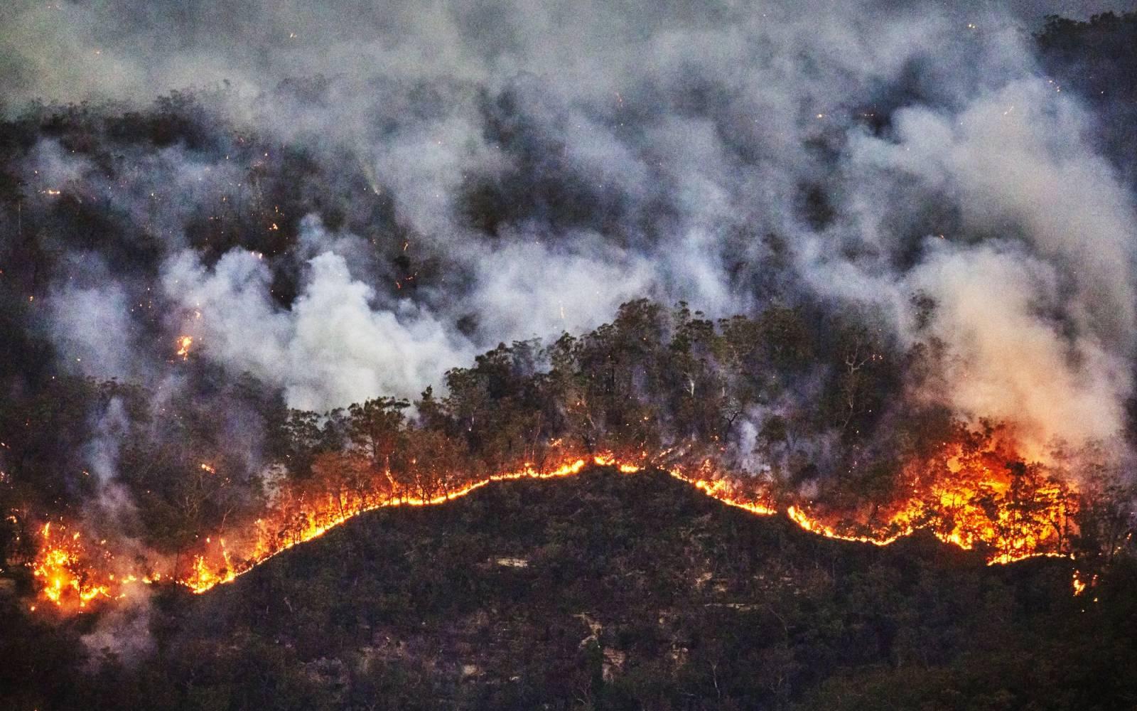 Luftaufnahme der australischen Buschbrände