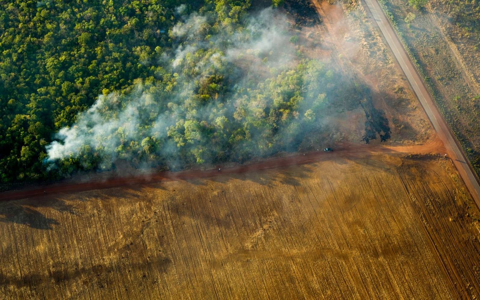 Unkontrollierter Waldbrand in Brasilien