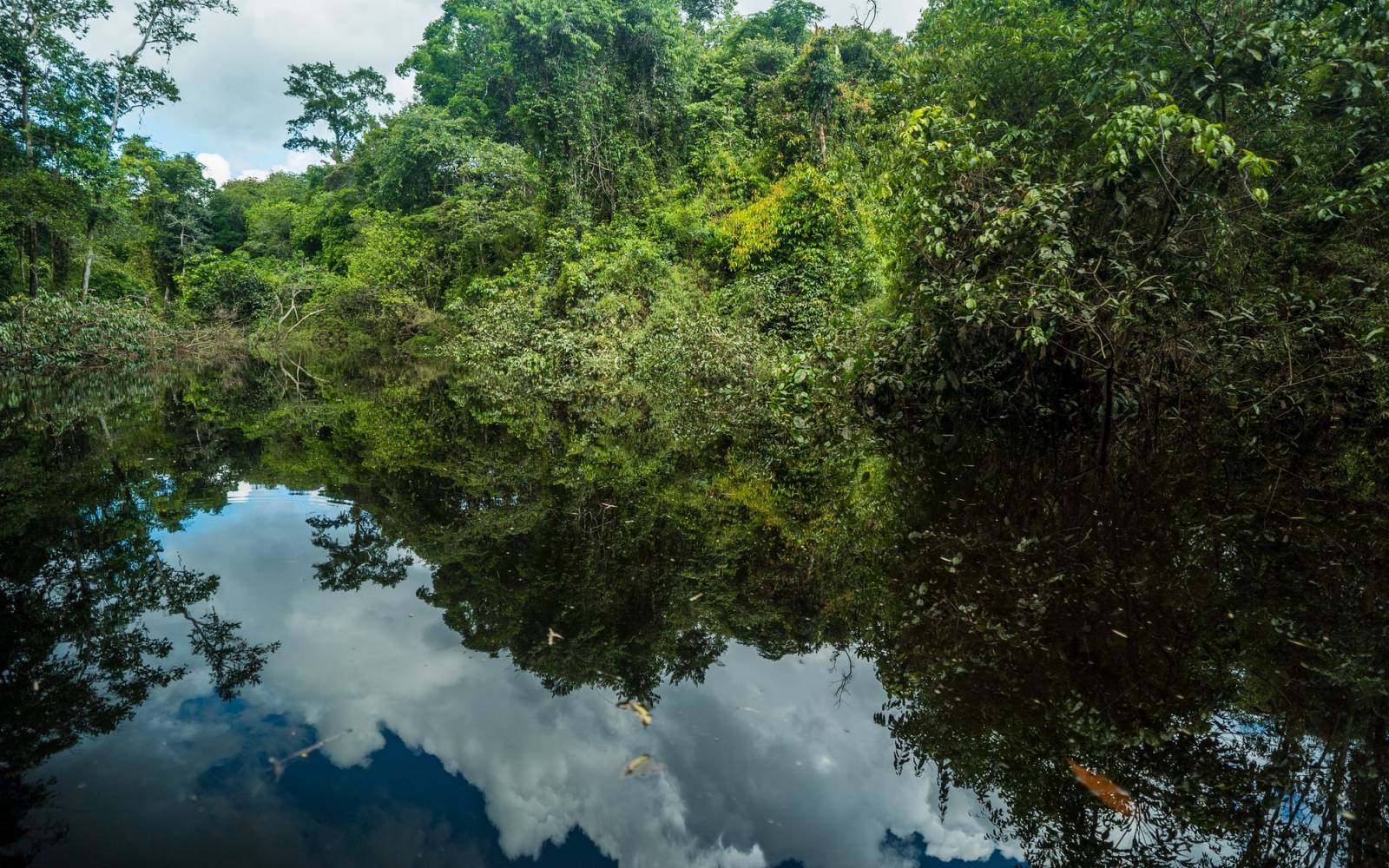 Amazonas in Kolumbien