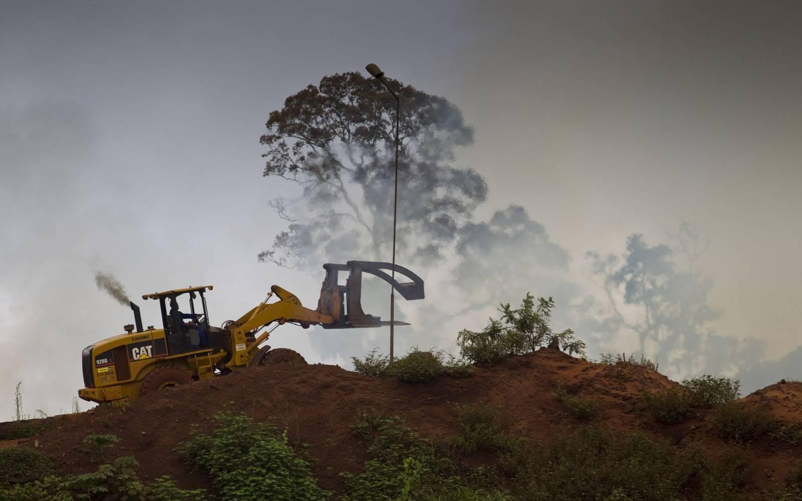Waldzerstörung im Kongobecken