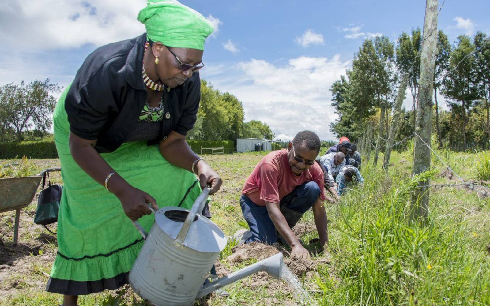 Eine Frau giesst ein Feld in Kenya