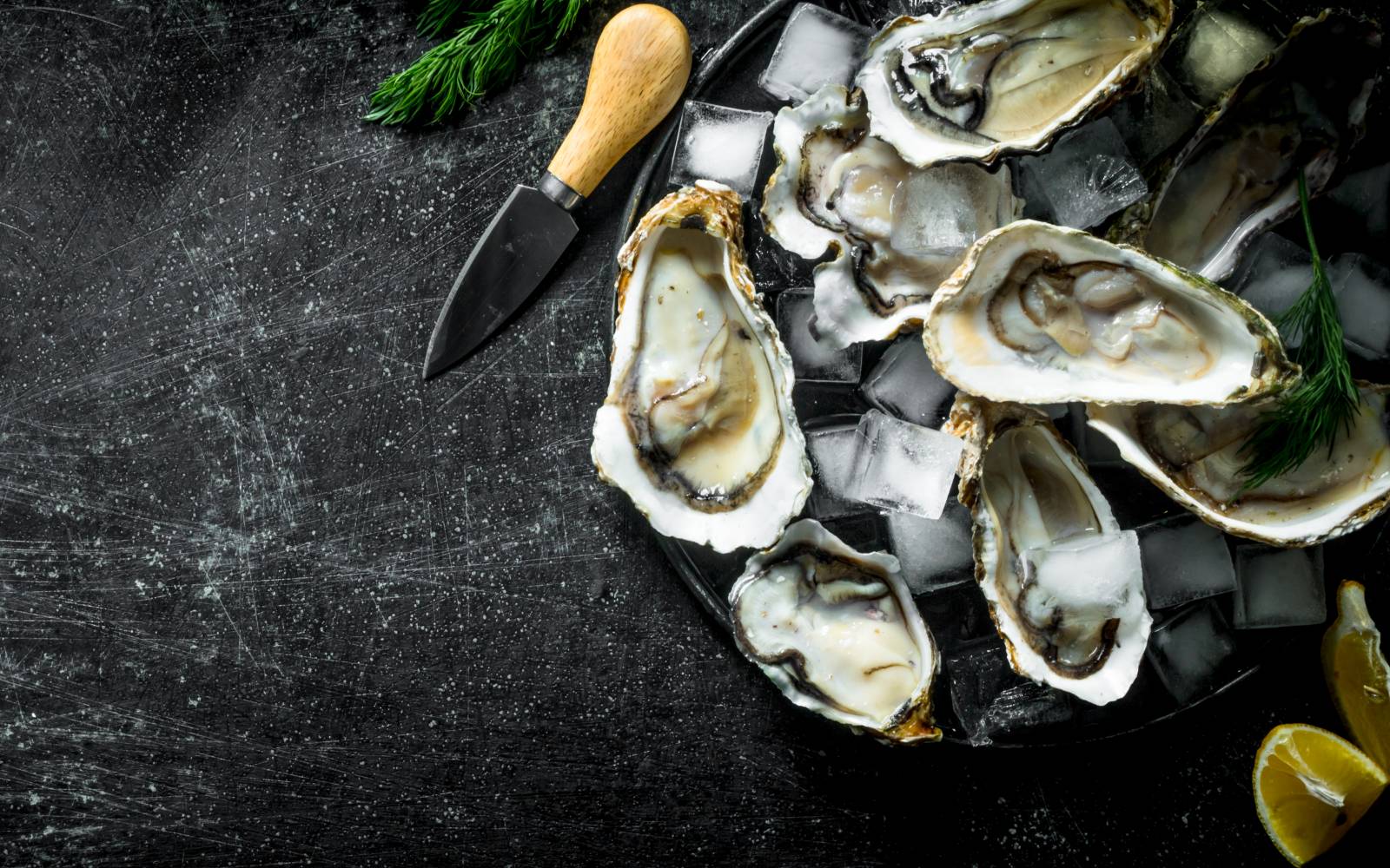 Oysters sea food and fish guide