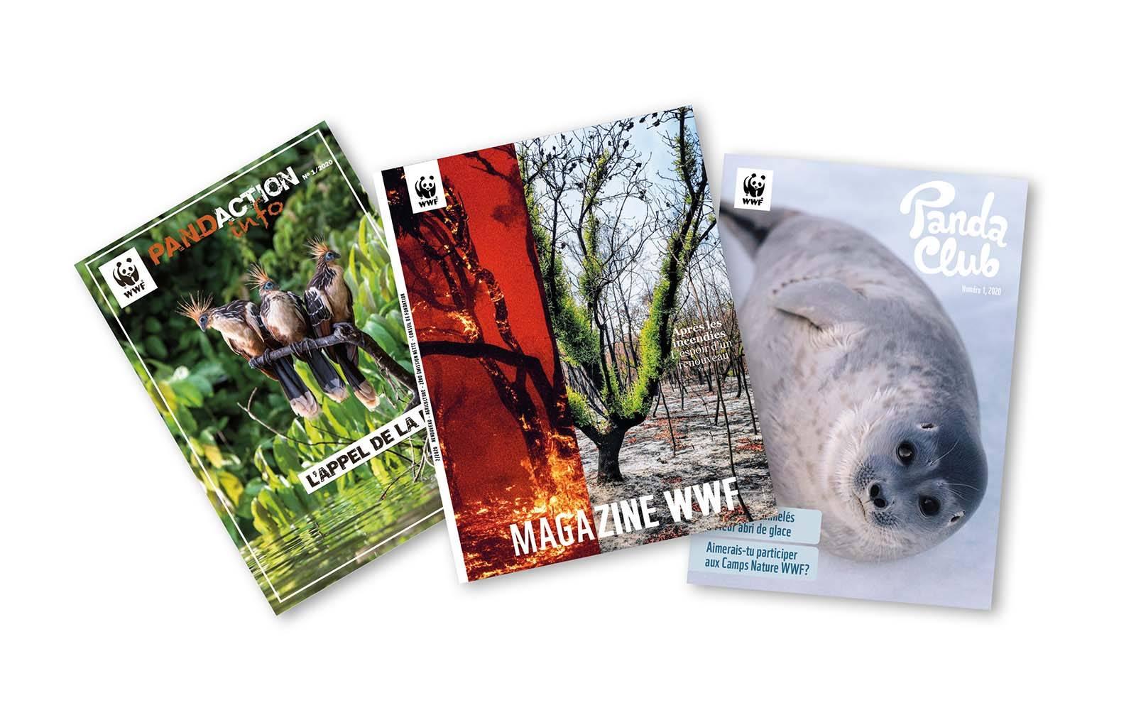 Magazines WWF