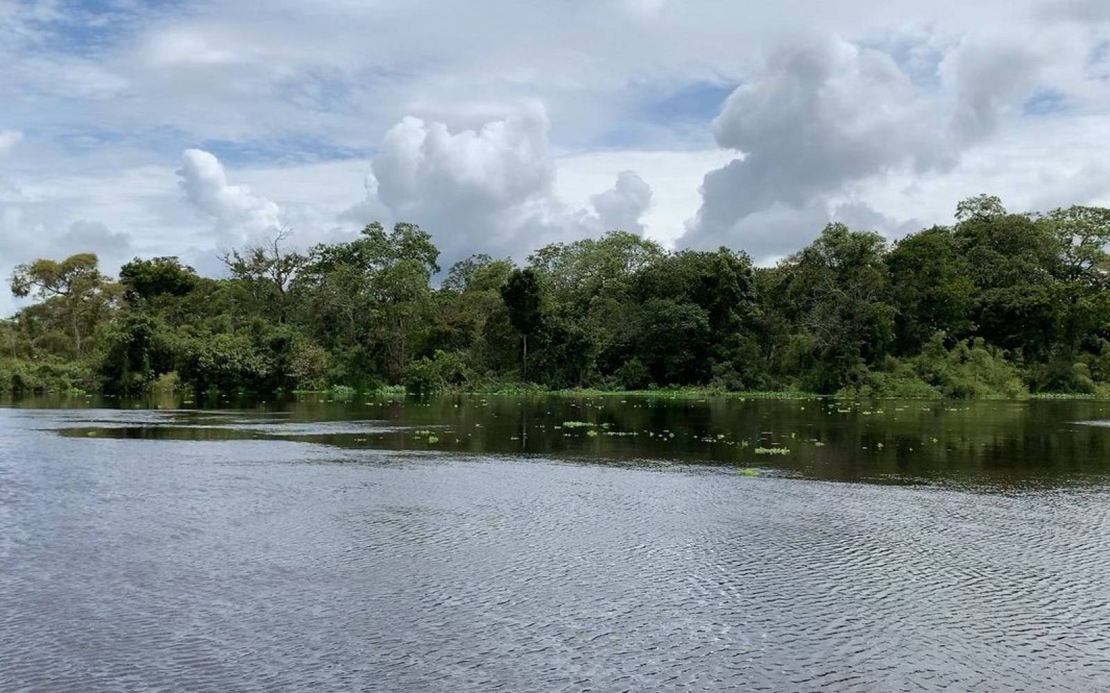 Fluss in Itenez, Amazonas