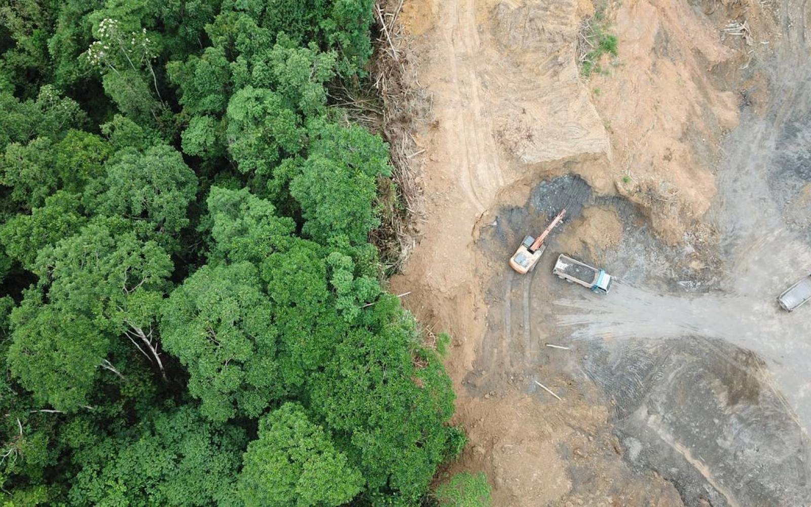 Abholzung für Palmöl-Plantage in Borneo, Malaisia.