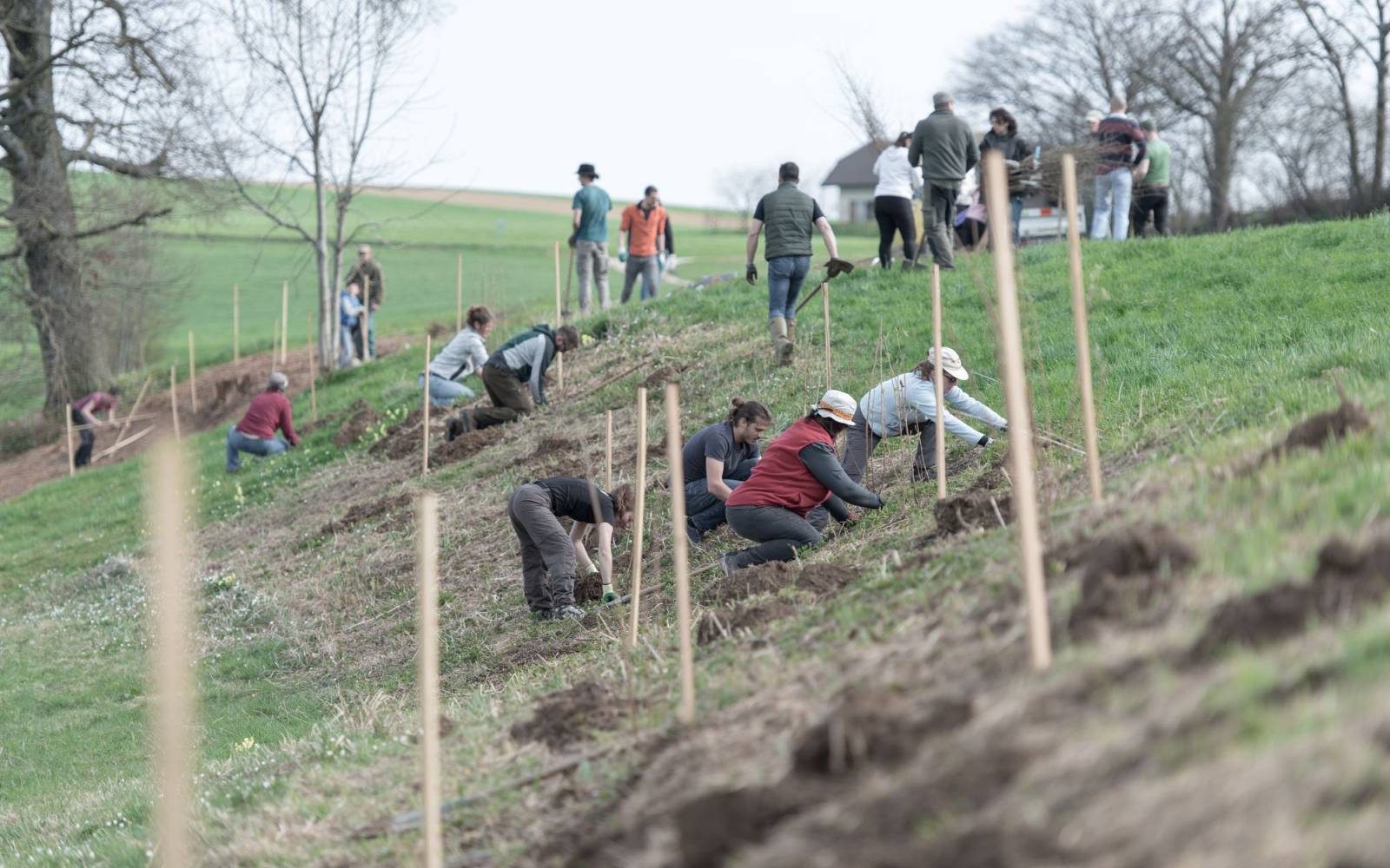 Freiwilligeneinsatz beim Projekt "Natur verbindet"