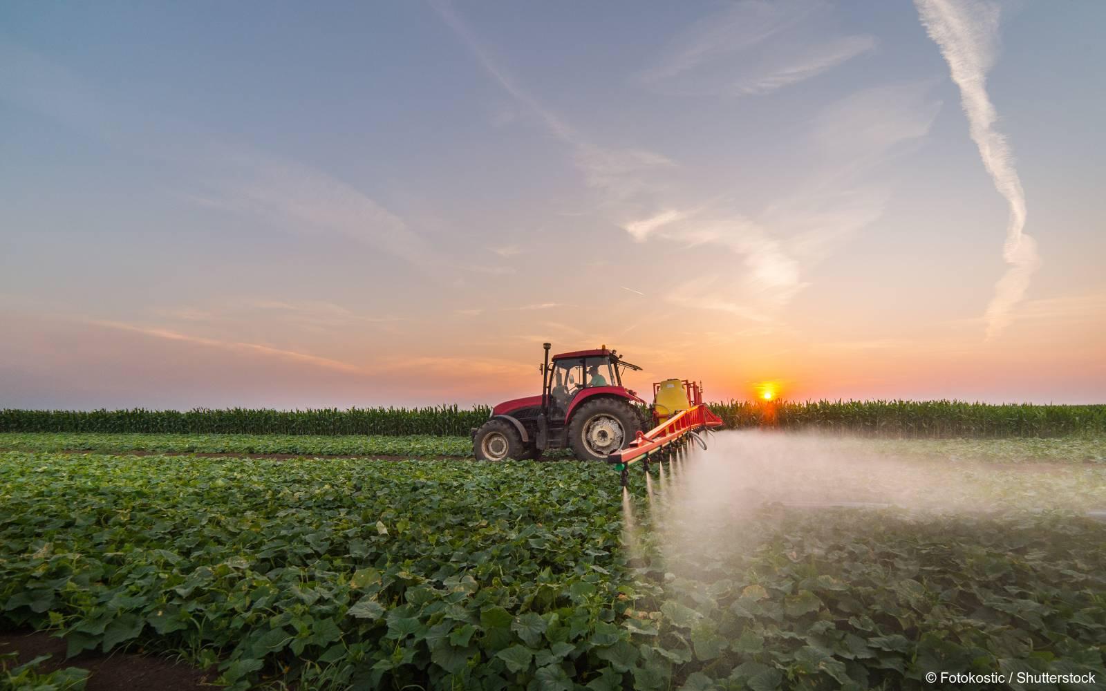 Landwirtschaft