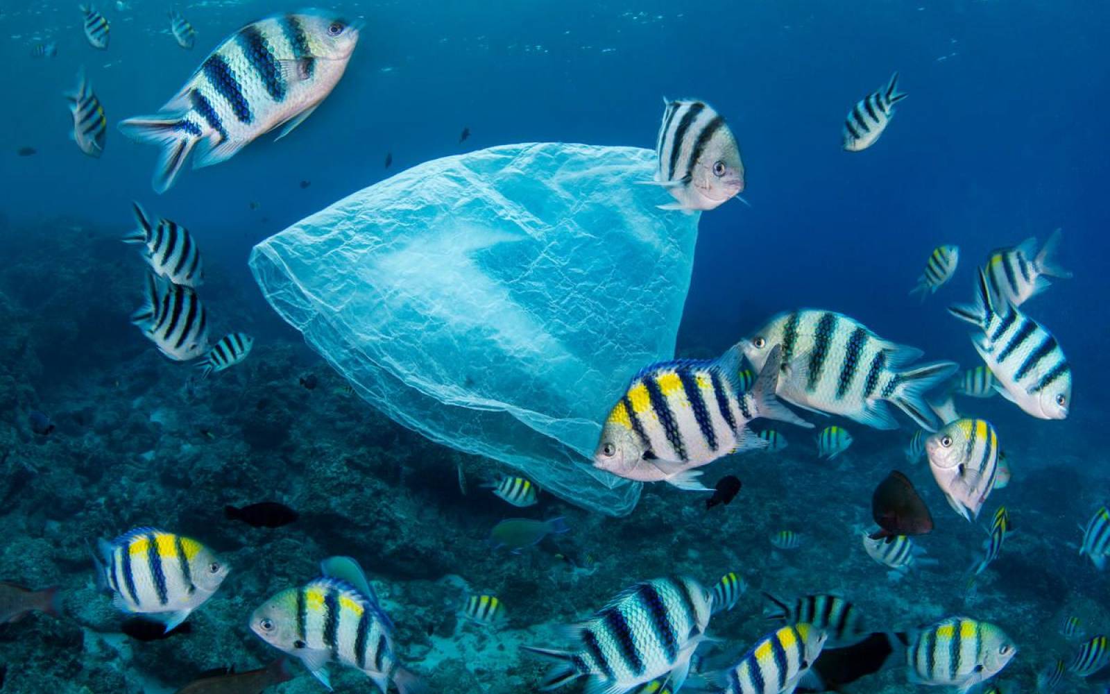 Plastikmüll im Pazifik vor Taiwan