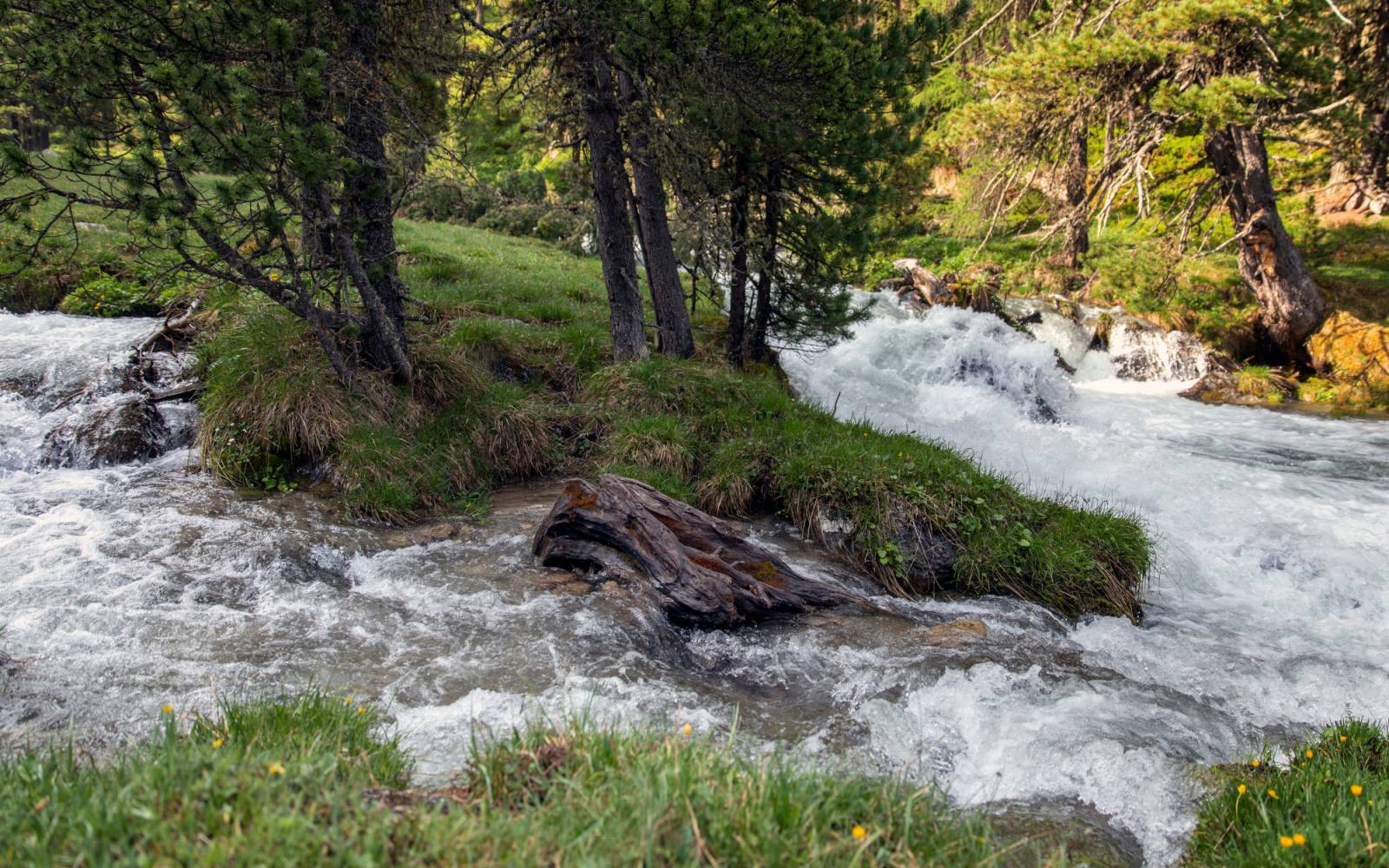 Der wilde Fluss Clemgia