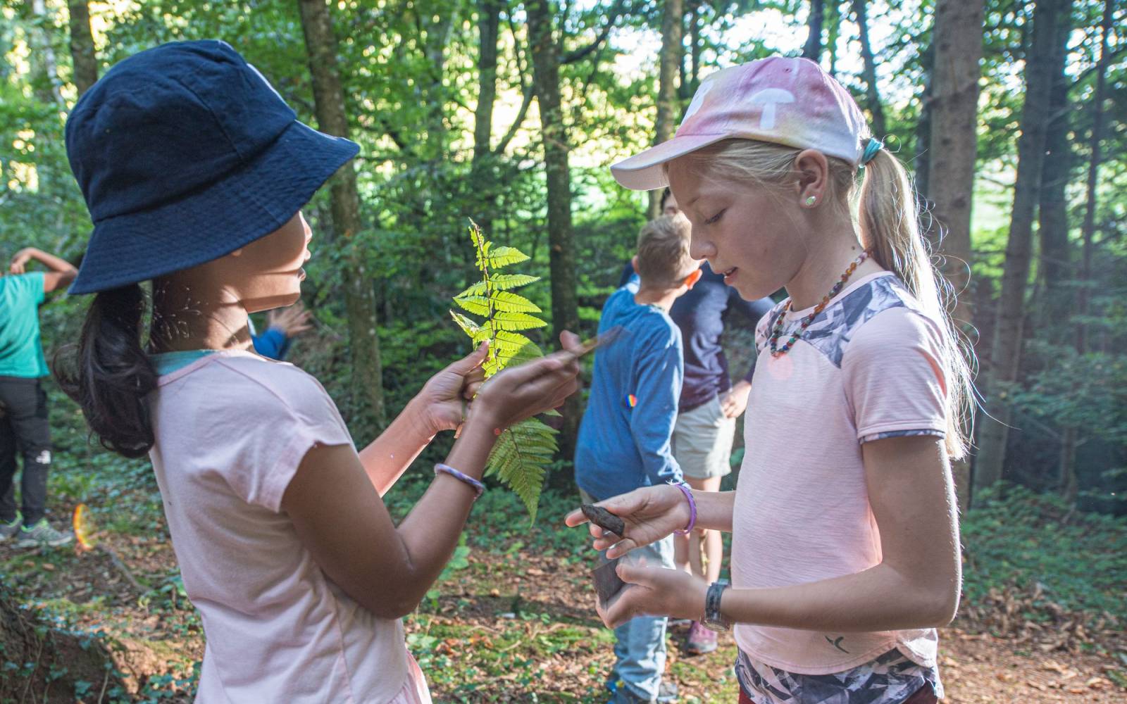 Deux filles apprennent dans la forêt.