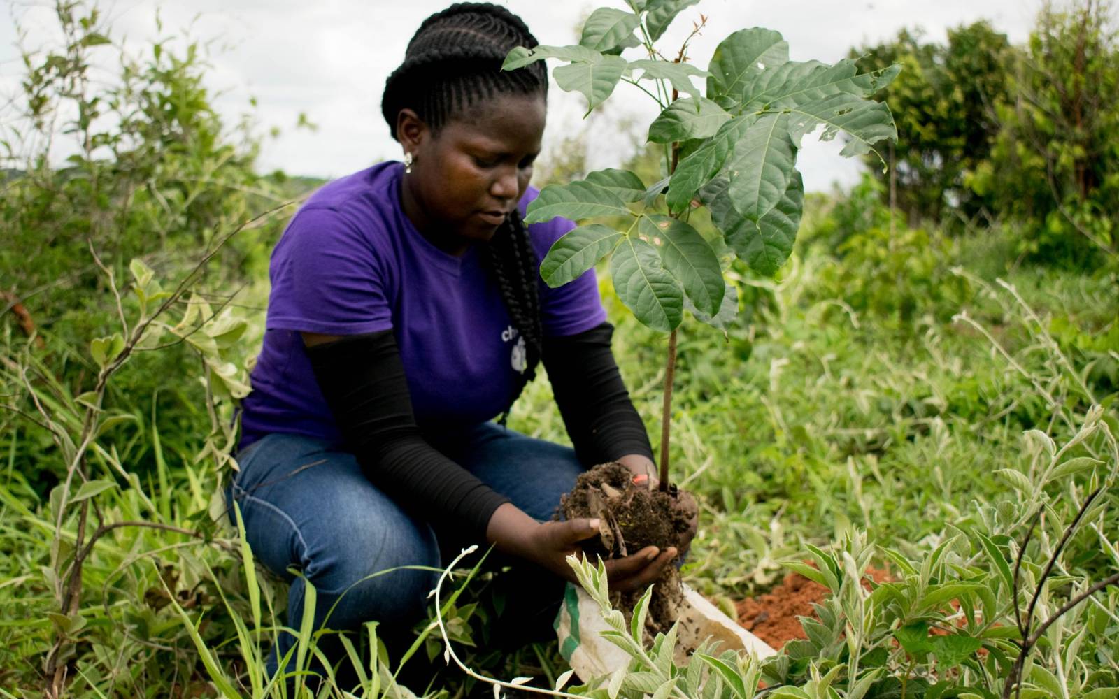 Baumpflanzung in Tansania